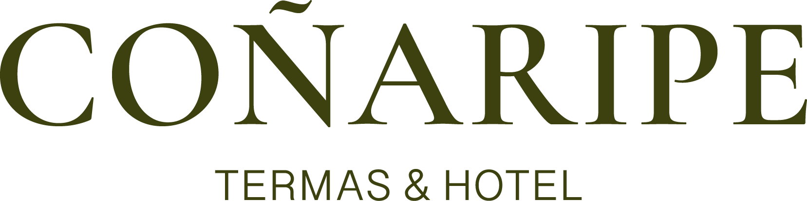 Coñaripe Hotel & Termas